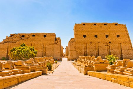 Excursión de medio día a la Ribera Oriental (Templos de Karnak y Luxor)