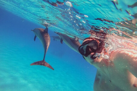 Excursión de snorkel al arrecife de delfines de Satayah desde Marsa Alam