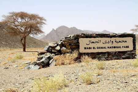 Safari por el desierto en el Parque Nacional de Wadi El Gemal