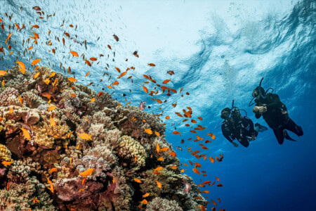 Excursión de buceo en Marsa Alam