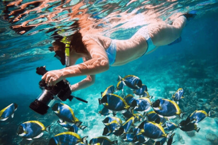 Excursión de Esnórquel en la Isla Tiran en Barco desde Sharm El-Sheikh