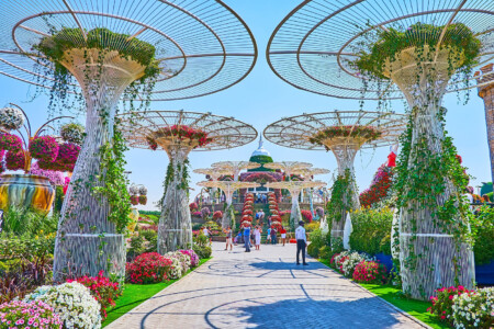 Una Imagen Maravillosa Del Jardin Milagroso De Dubai